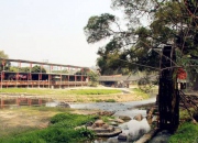 廈門哪里好玩之同安農(nóng)家樂麗田園