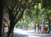 集美石鼓路商圈